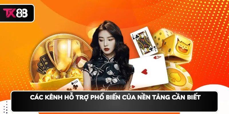  Các kênh hỗ trợ phổ biến của nền tảng cần biết