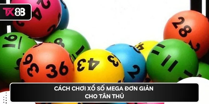 Cách chơi xổ số Mega đơn giản cho tân thủ